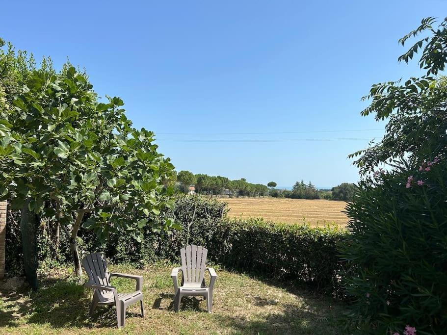La Capparuccia Appartement Civitanova Marche Buitenkant foto