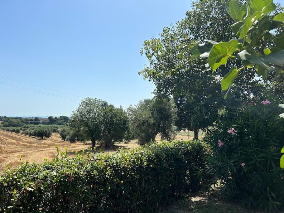 La Capparuccia Appartement Civitanova Marche Buitenkant foto
