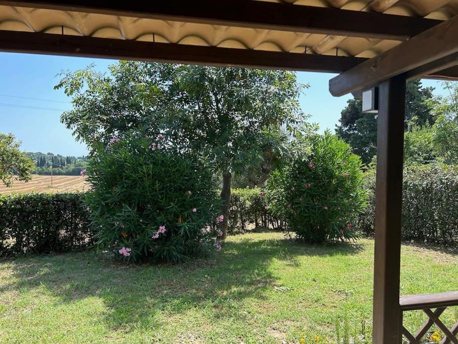 La Capparuccia Appartement Civitanova Marche Buitenkant foto
